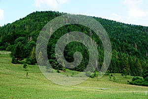 Meadows and forests above Jasenova with hills of Mala Fatra National Park, Slovakia