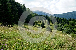 Meadows and forests above Jasenova with hills of Mala Fatra National Park, Slovakia