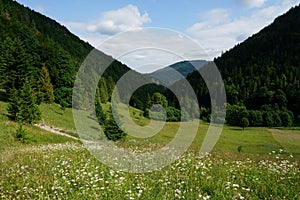 Meadows and forests above Jasenova with hills of Mala Fatra National Park, Slovakia