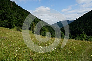 Meadows and forests above Jasenova with hills of Mala Fatra National Park, Slovakia