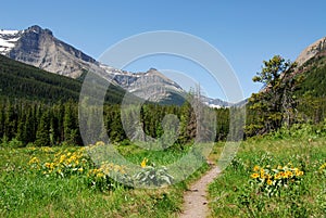 Meadows, forests and mountain photo