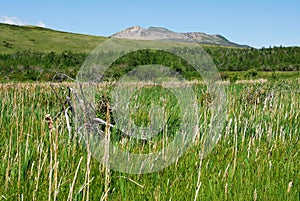 Meadows, forests and mountain