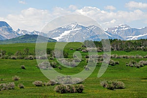 Meadows, forests and mountains