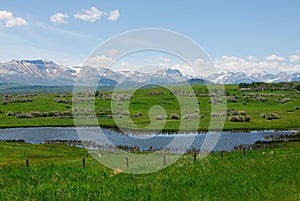 Meadows, forests and mountains