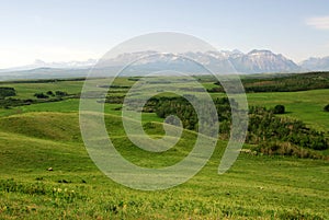 Meadows, forests and mountains