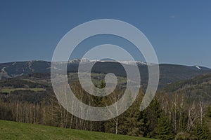 Meadows and forests near Krkonose mountains in spring nice day