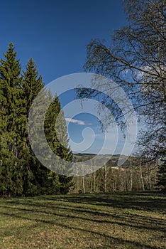 Meadows and forests near Krkonose mountains in spring nice day