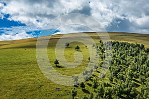 Meadows of the high land