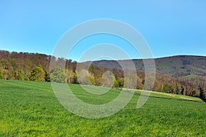 Meadows and hills scene with blue sky in historical city called Auerbach in Odenwald forest in Germany