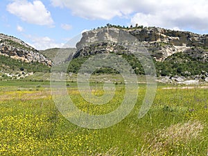 Meadows landscape in Lleida