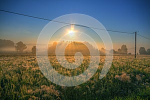 Meadows on morning with power line