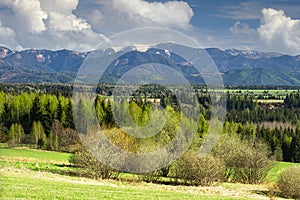 Meadows near Podbanske under West Tatras in Slovakia