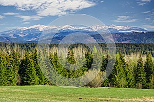 Meadows near Podbanske under West Tatras in Slovakia