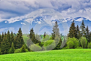 Meadows over Hybe village and West Tatras mountains