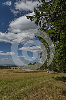 Meadows and pasture land near vanished village Smrkovec in summer hot day