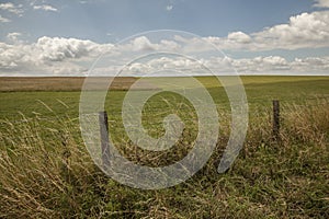 Meadows - Salisbury plain/the fence.