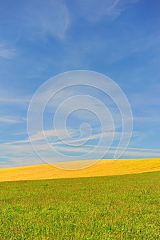 Meadows and sky