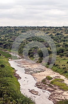 Meadows of Tanzania with river