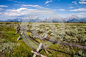 Meadows and Teton Mountains