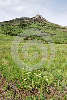 Meadows to mountains