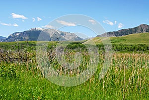 Meadows to mountains