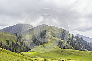 Meadows on the top of a mountain