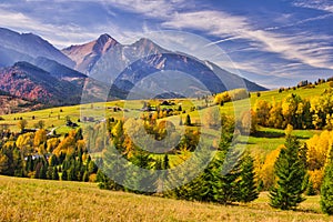 Meadows with trees in Bachledova dolina valley with Belianske Tatras on horizon