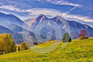 Meadows with trees in Bachledova dolina valley with Belianske Tatras on horizon