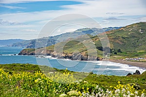 Meadows and view of the Pacific Ocean at Point Bonita, California, USA