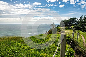 Meadows and view of the Pacific Ocean at Point Bonita, California, USA