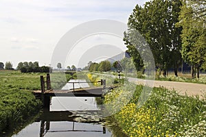 meadows and watering canals at the Vijfde Tochtweg in the Zuidplaspolder