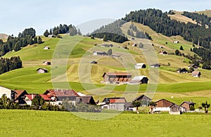 Meadows with wooden houses