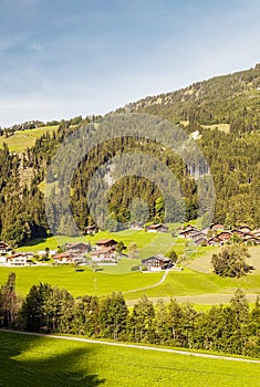 Meadows with wooden houses