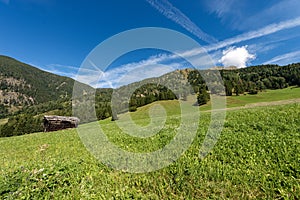 Meadows and woods in mountains - Val di Fiemme Trentino Italy