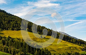 Meadows and woods panorama on the mountains in Austrian Alps