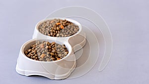 Meal for dog or cat. Canned meat with sauce and dry kibble food isolated on white background.