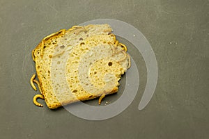 Mealworm eat bread