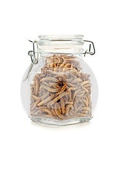 Mealworms in jar