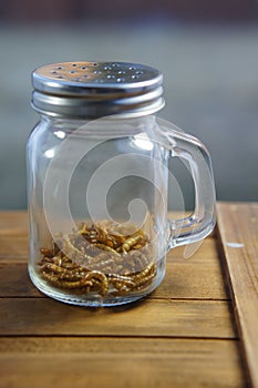 Mealworms in a pepper shaker jar