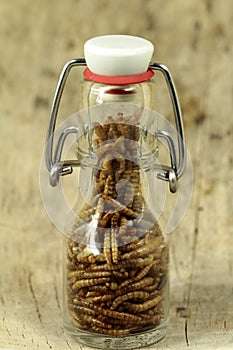 Mealworms, pur proteine in the bottle