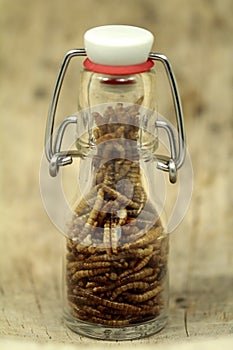 Mealworms, pur proteine in the bottle photo