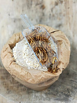 Mealworms, pur proteine in grain bag photo