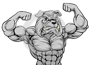 Mean Bulldog Sports Mascot