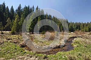 Meander of Kamenisty potok at Kamenista dolina valley