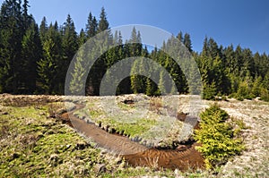 Meander of Kamenisty potok at Kamenista dolina valley