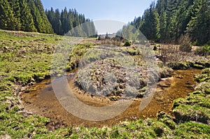 Meander of Kamenisty potok at Kamenista dolina valley