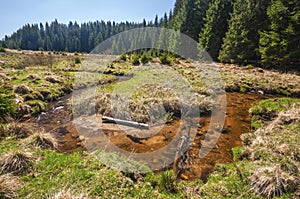 Meander of Kamenisty potok at Kamenista dolina valley