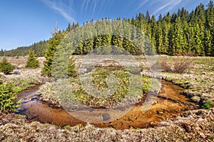 Meander of Kamenisty potok at Kamenista dolina valley