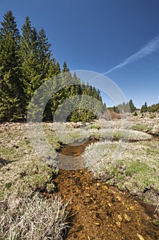 Meandr Kamenistého potoka v Kamenisté dolině