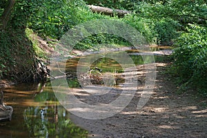 Meandering brook Boven Slinge in primeval forest Bekendelle near Winterswijk